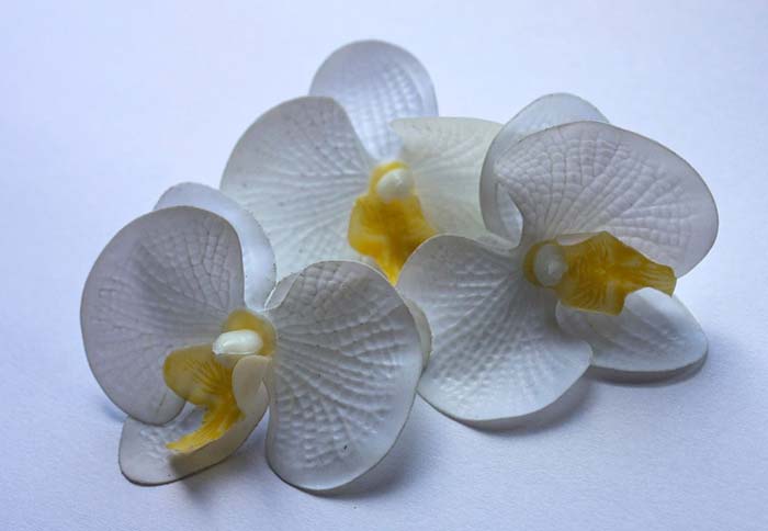 Образ и характеристика Абадонны в романе Мастер и Маргарита