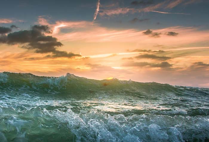 Соков в романе Мастер и Маргарита