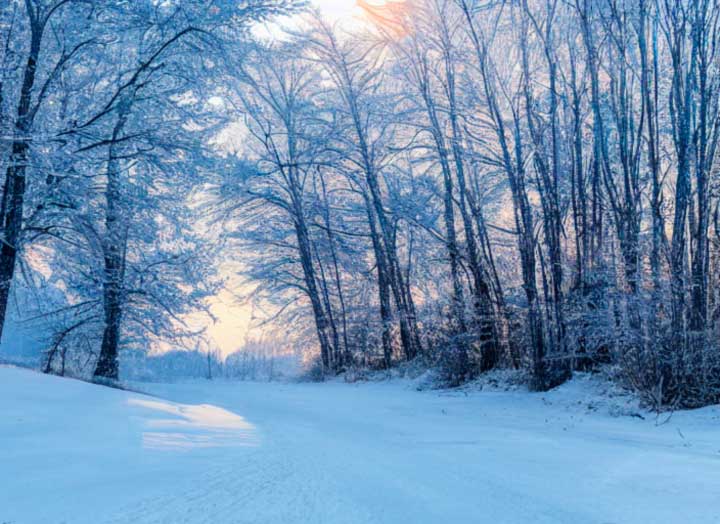 картинка Анализ рассказа Чехова Ванька сочинение Анализ рассказа Чехова Ванька