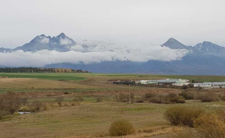 картинка Сочинение по произведению Палата номер 6 Чехова По произведению Палата номер 6