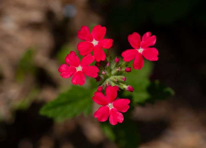 По произведению О любви