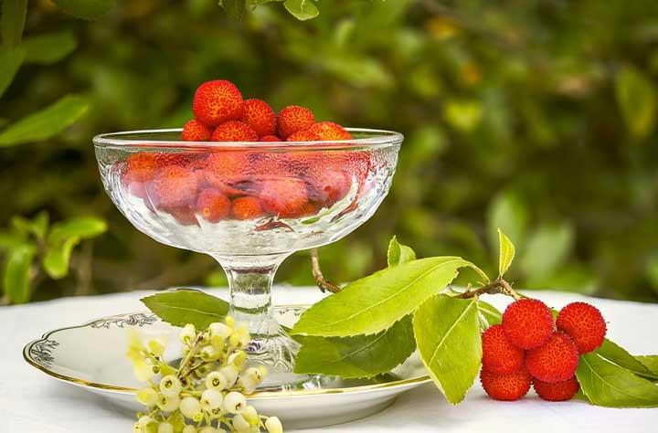 картинка Анализ сказки Кисель Салтыкова-Щедрина Анализ сказки Кисель Салтыкова-Щедрина