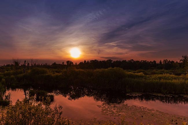 Характеристика и образ Василисы Премудрой в сказке Царевна лягушка