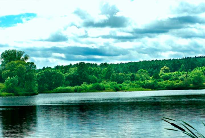 Характеристика и образ Заметова