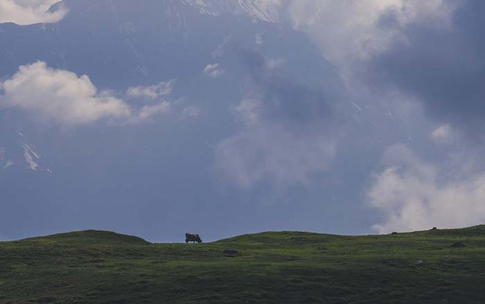 Сочинение Мужик в Повести о том, как один мужик двух генералов прокормил (образ и характеристика)