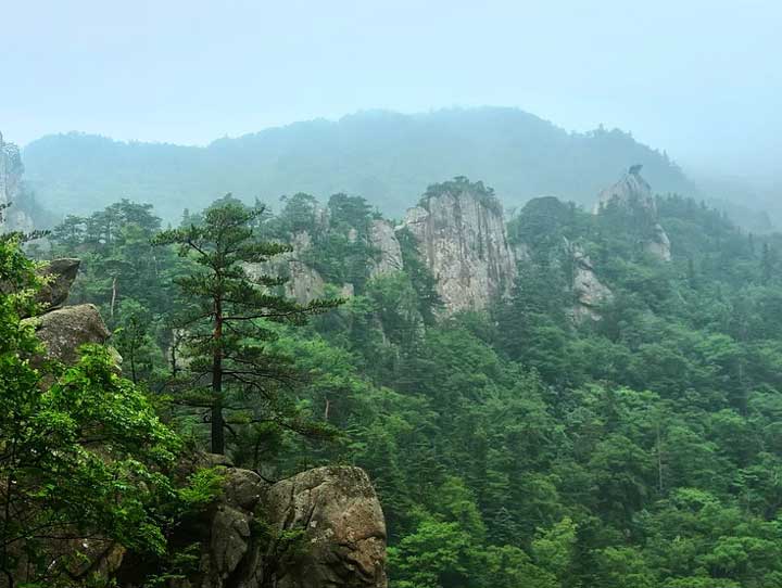 картинка Конфликт отцов и детей в литературе сочинение Конфликт отцов и детей в литературе