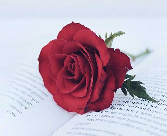 Литература