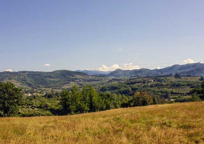 Образ и характеристика Победоносикова (Баня Маяковского)