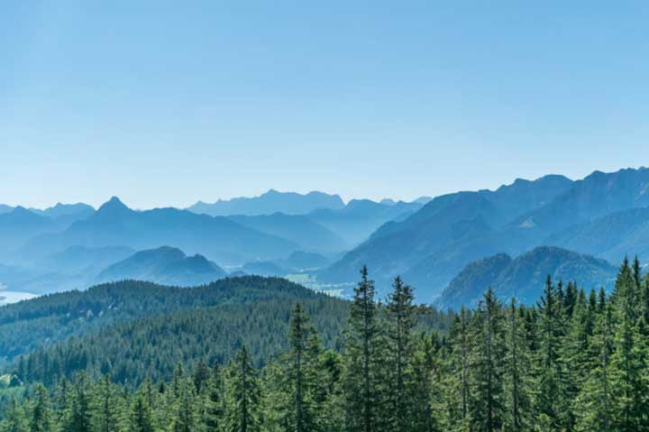 Отцы и дети в романе Преступление и наказание Достоевского