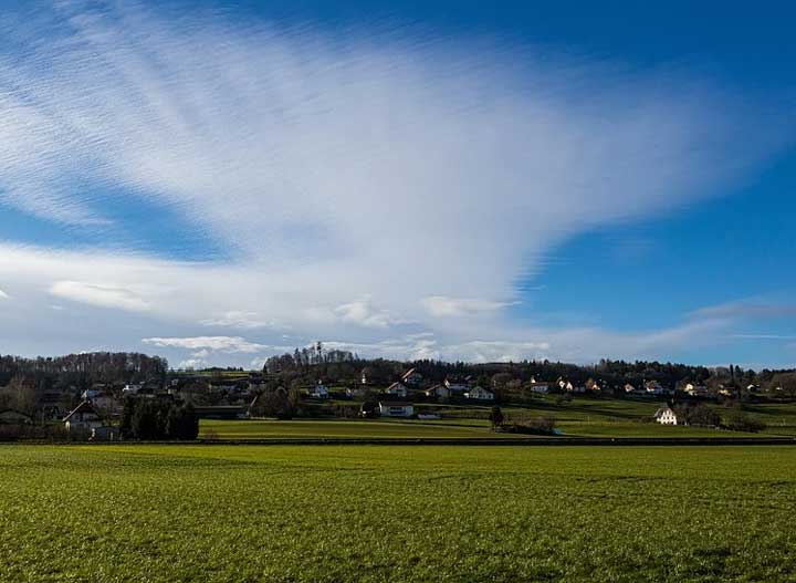 картинка Сочинение по произведению Кусака Андреева По произведению Кусака Андреева