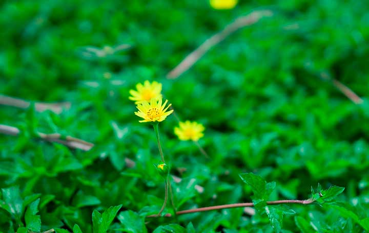 картинка Сочинение Что такое толерантность? Что такое толерантность?