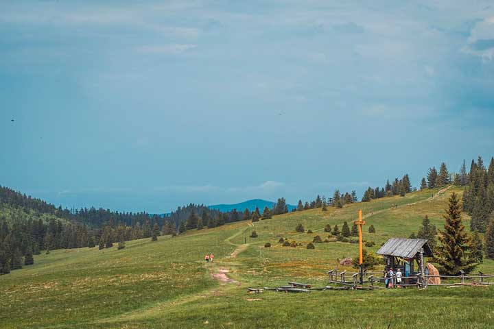 Как связано забвение с утратой ценностей?