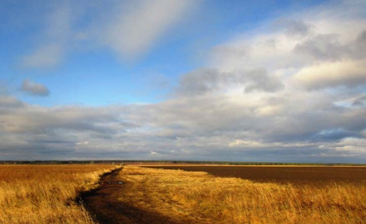 Как вы понимаете устойчивое словосочетание «голубая мечта»?