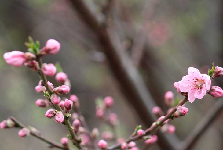 Как вы понимаете выражение «быть самим собой»?