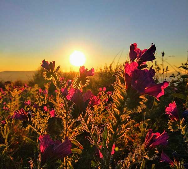 Примеры сильного человека из жизни