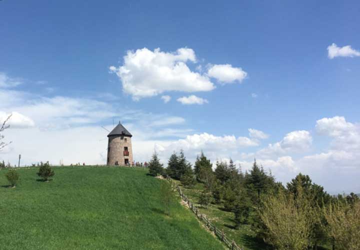 Примеры выбора из литературы