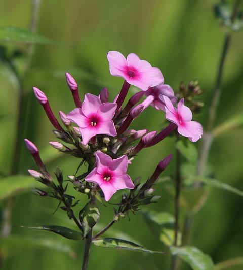 Равнодушие и отзывчивость