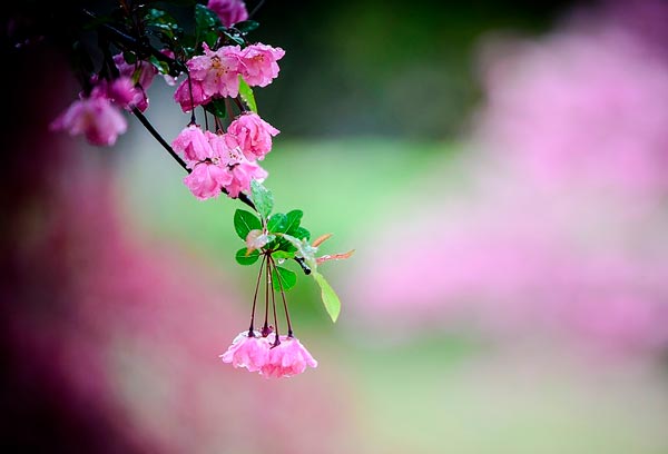 Взаимоотношения людей