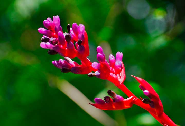 Лирические отступления в поэме Мертвые души