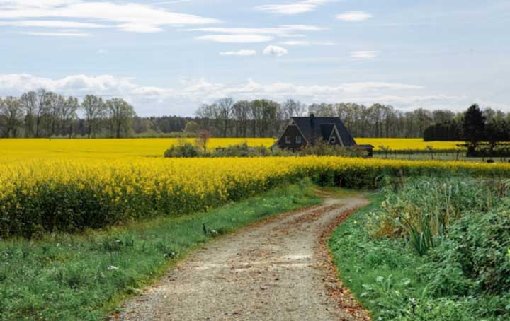 картинка Сочинение Образ дороги в поэме Гоголя Мертвые души Образ дороги в Мертвых душах