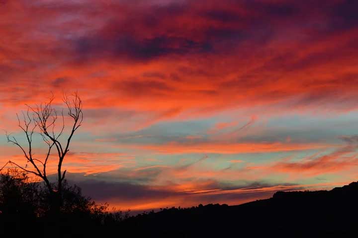 Образ Петербурга в произведении Ревизор