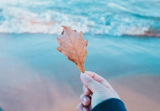 Сочинение Описание Тараса Бульбы из повести Гоголя 7 класс