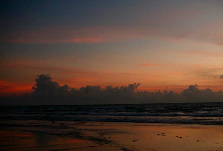 Внешность Собакевича – описание и портрет