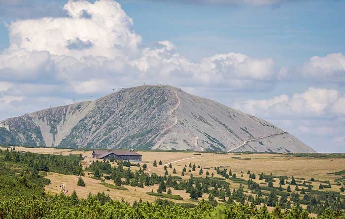 картинка Дядья в повести Детство Горького сочинение Дядья в повести Детство