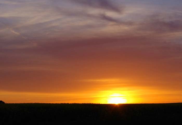 Жизненные идеалы Чацкого