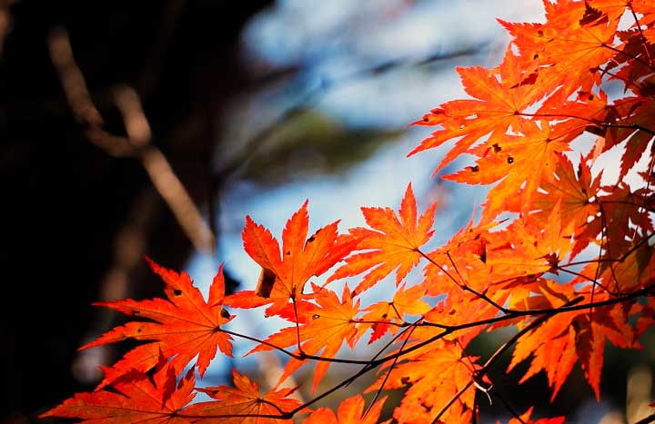 картинка Сочинение Почему общество не принимает некоторых людей? Почему общество не принимает некоторых людей?