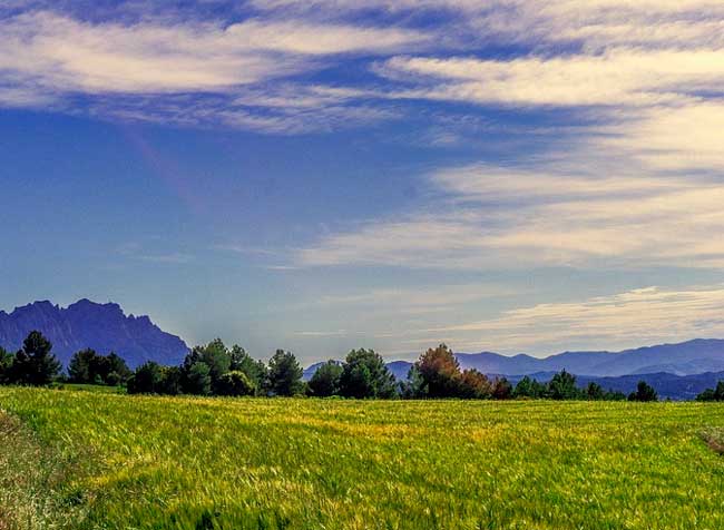 картинка Образ и характеристика Мануйлихи в повести Олеся Куприна сочинение Образ и характеристика Мануйлихи в повести Олеся