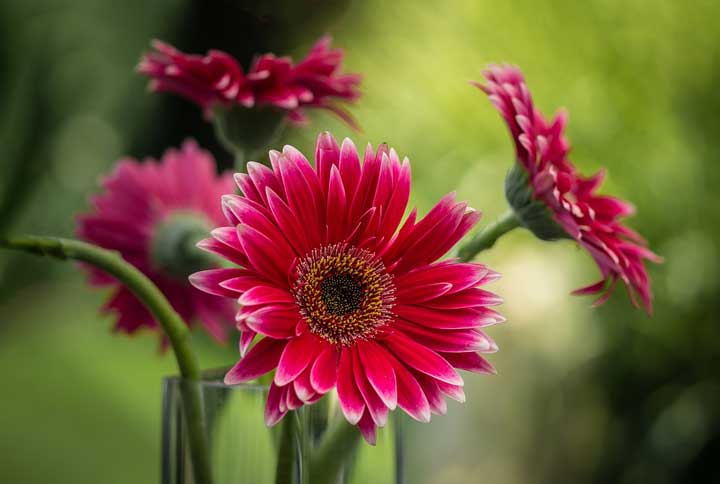 Анализ сказки Ашик-Кериб