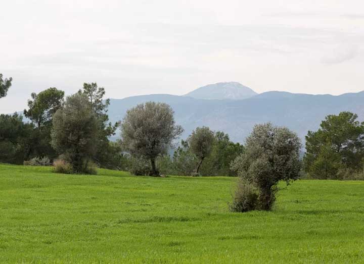 Мой любимый герой в Герое нашего времени