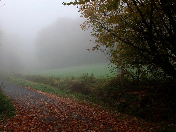 Три дня на воле Мцыри