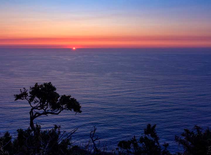 Главная мысль рассказа Левша