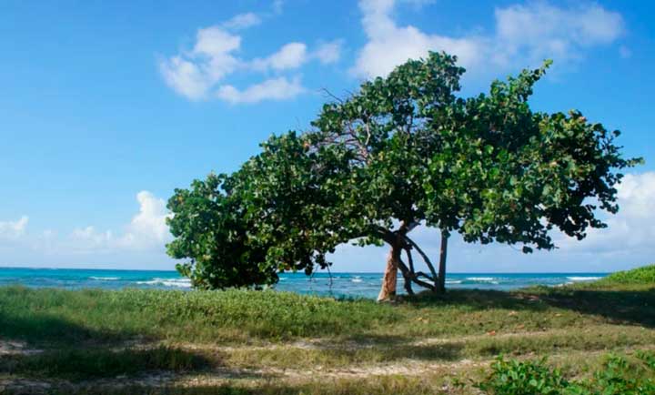 Хронологическая таблица жизни и творчества Куприна