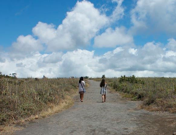 картинка Сочинение по пословице Не имей сто рублей, а имей сто друзей Не имей сто рублей, а имей сто друзей