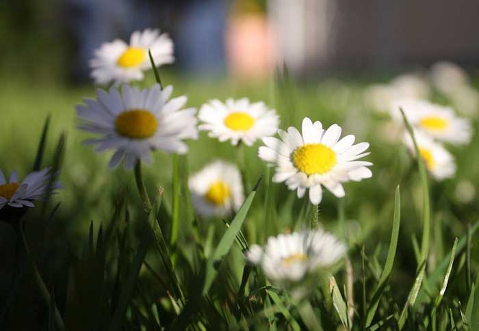 Герои произведения Бесприданница