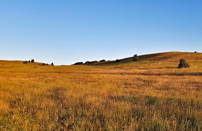 Характеристика и образ Вожеватова в пьесе Бесприданица