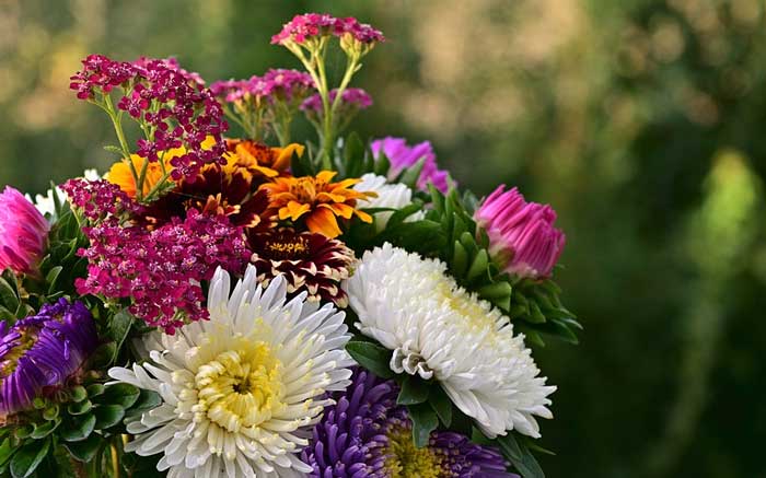 Любовь в пьесе Гроза