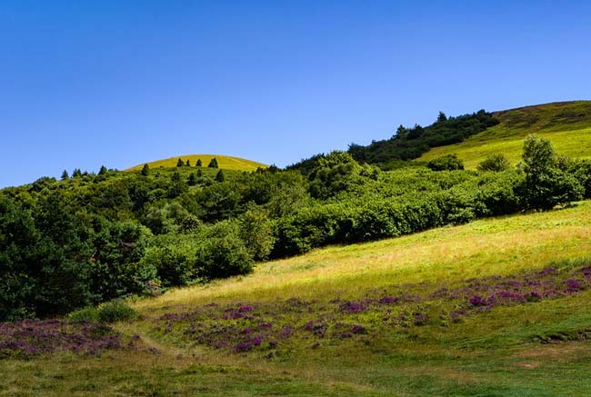 Анализ повести Станционный смотритель