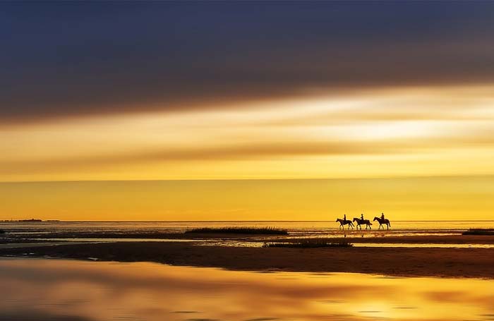 Анализ романа Капитанская дочка