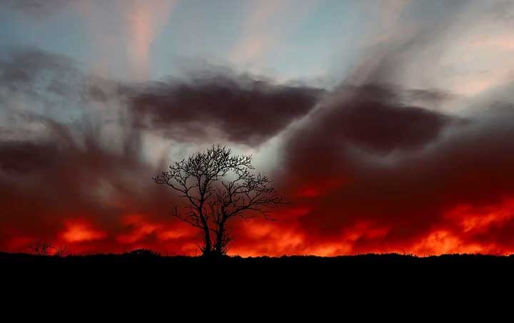 картинка Сочинение Какие качества характера Дубровского проявились в Покровском? Какие качества характера Дубровского проявились в Покровском?