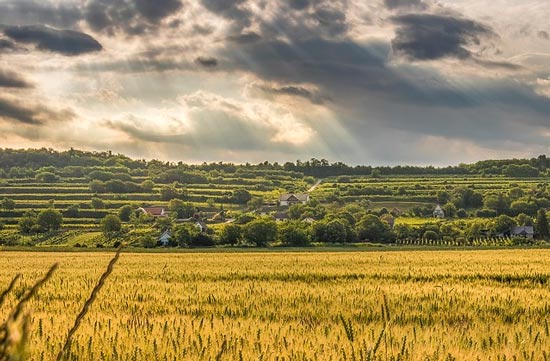 По стихотворению Узник Пушкина