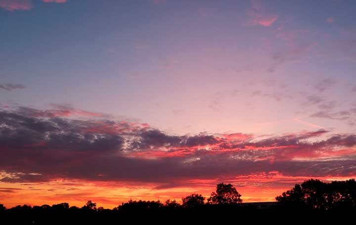 Образ и тема дома в романе Тихий Дон