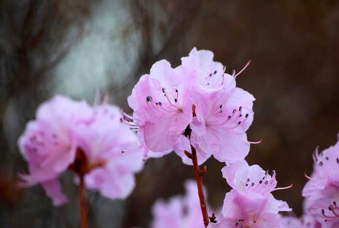 Что такое истинная любовь?