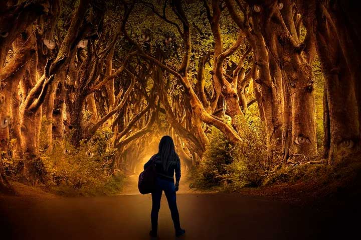 Необычный день