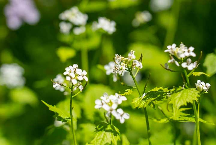 Примеры эгоизма из жизни