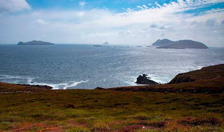 Воспоминания о лете