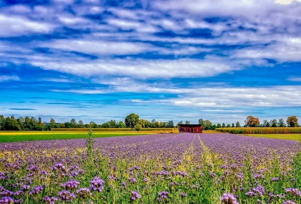 картинка Сочинение на тему Когда мой папа учился в школе Когда мой папа учился в школе